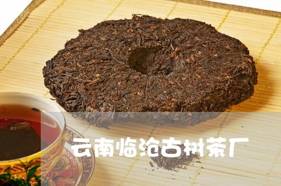 云南临沧古树茶厂/2023032698371