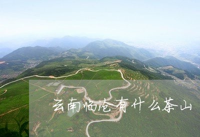 云南临沧有什么茶山/2023032212724