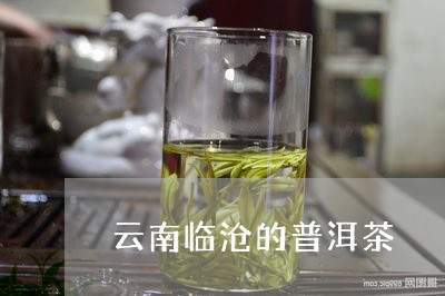 云南临沧的普洱茶/2023040952713