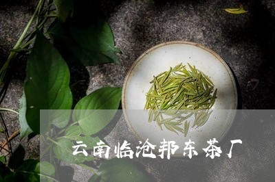 云南临沧邦东茶厂/2023032546379