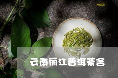 云南丽江普洱茶舍/2023040935047