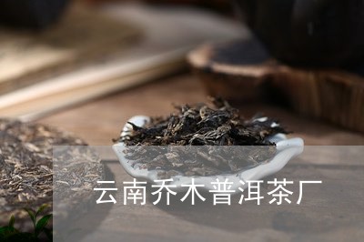 云南乔木普洱茶厂/2023041371703