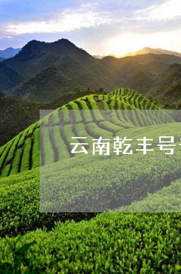 云南乾丰号普洱茶/2023031619360