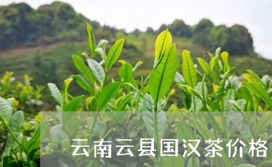 云南云县国汉茶价格/2023032260393