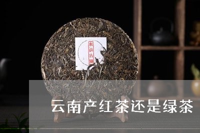 云南产红茶还是绿茶/2023032272514