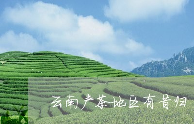 云南产茶地区有昔归/2023032233737