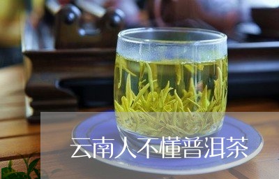 云南人不懂普洱茶/2023040182615