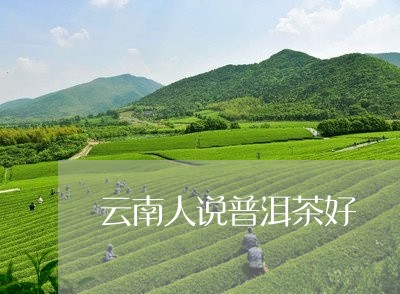 云南人说普洱茶好/2023033030515