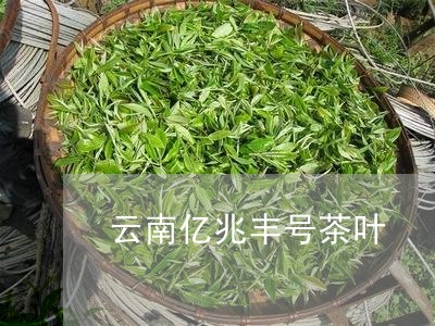 云南亿兆丰号茶叶/2023031857385