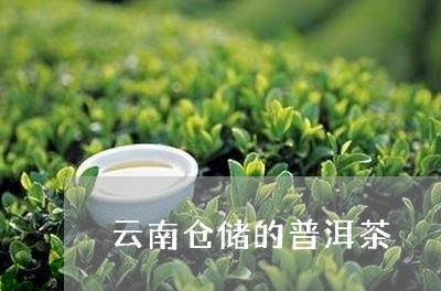 云南仓储的普洱茶/2023041001693