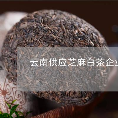 云南供应芝麻白茶企业名录/2023040118279