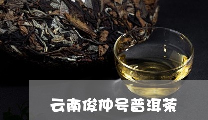 云南俊仲号普洱茶/2023031846247