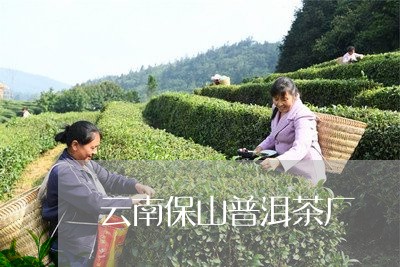 云南保山普洱茶厂/2023033030693