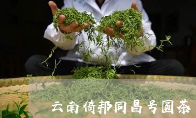 云南倚邦同昌号圆茶/2023032152947