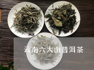 云南六大山普洱茶/2023033060393