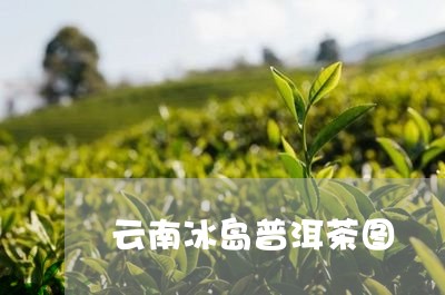 云南冰岛普洱茶图/2023031713735