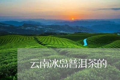 云南冰岛普洱茶的/2023041377273