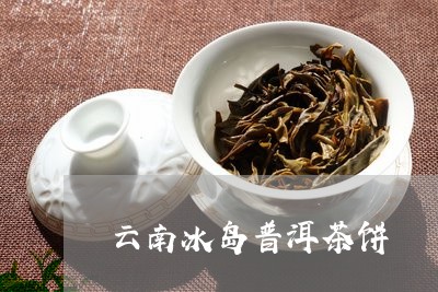 云南冰岛普洱茶饼/2023031759604