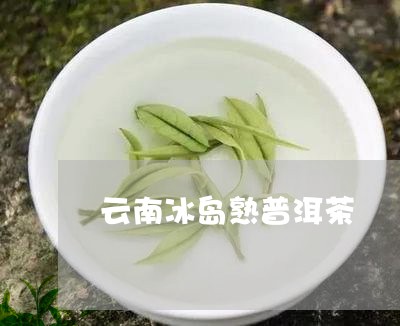 云南冰岛熟普洱茶/2023031737251