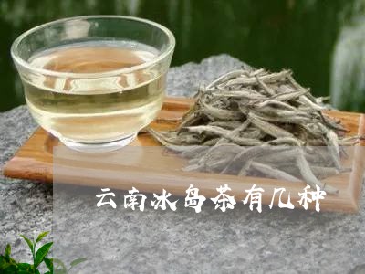 云南冰岛茶有几种/2023041361593