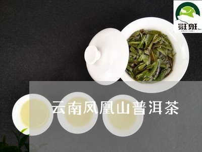 云南凤凰山普洱茶/2023041372825