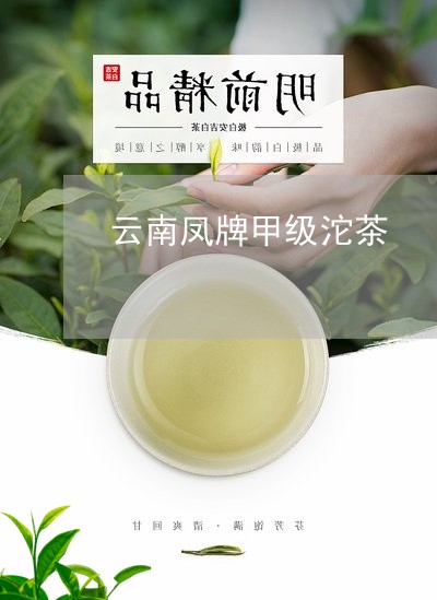 云南凤牌甲级沱茶/2023032543937