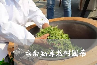 云南勐库老树圆茶/2023032597161