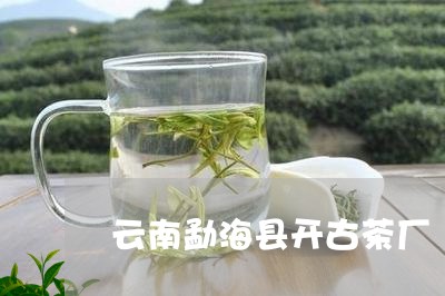 云南勐海县开古茶厂/2023032215059