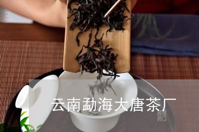 云南勐海大唐茶厂/2023032528471