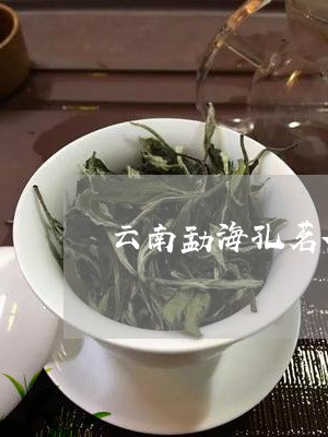 云南勐海孔茗茶厂/2023031820715