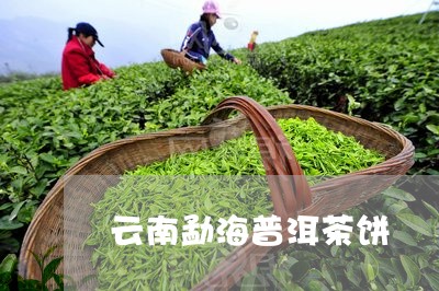 云南勐海普洱茶饼/2023041002526