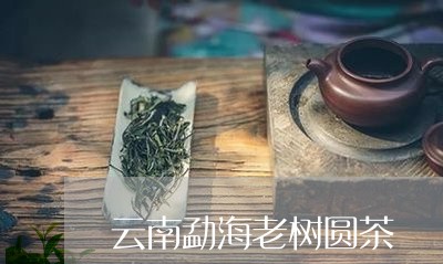 云南勐海老树圆茶/2023032570646