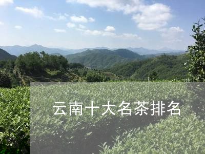 云南十大名茶排名/2023041309480