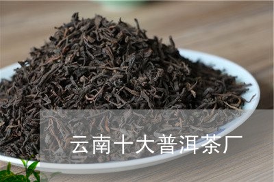 云南十大普洱茶厂/2023041358924