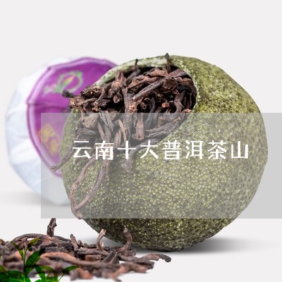 云南十大普洱茶山/2023031882696