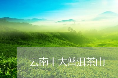 云南十大普洱茶山/2023041306157