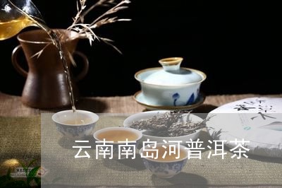 云南南岛河普洱茶/2023041098279