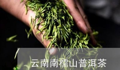 云南南檽山普洱茶/2023040113705