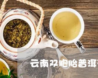 云南双胞胎普洱茶/2023041279481