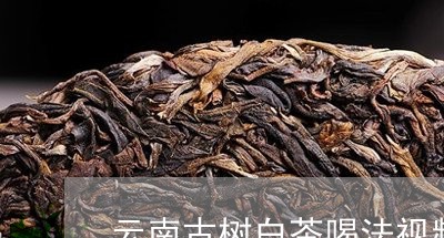 云南古树白茶喝法视频教程/2023040111747