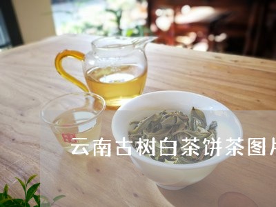 云南古树白茶饼茶图片欣赏/2023040125956