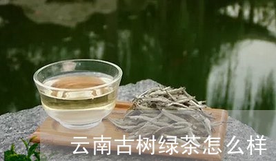 云南古树绿茶怎么样/2023032141514