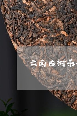 云南古树茶什么分别/2023032110572