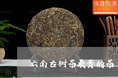 云南古树茶最贵的茶/2023032153036