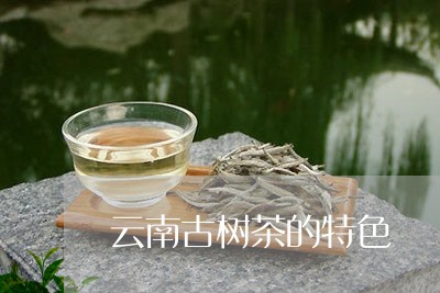 云南古树茶的特色/2023032651594