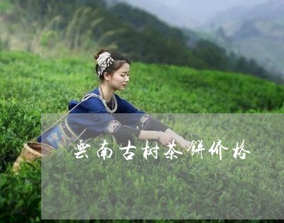 云南古树茶饼价格/2023031735050