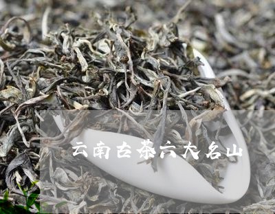 云南古茶六大名山/2023032539483