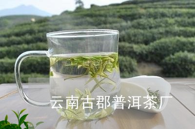 云南古郡普洱茶厂/2023033026269