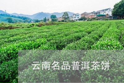 云南名品普洱茶饼/2023031860625