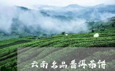 云南名品普洱茶饼/2023041343826